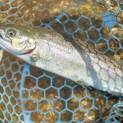 ミノーイングを楽しむ ～フィッシングパーク高島の泉～